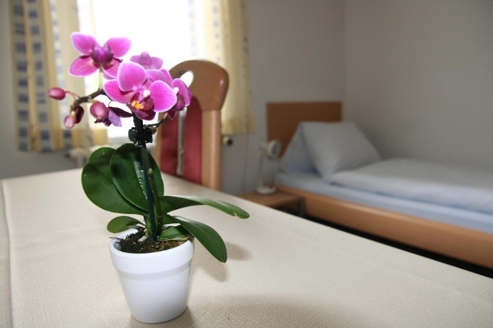 Hotel Glaernisch Hof Хорґен Екстер'єр фото